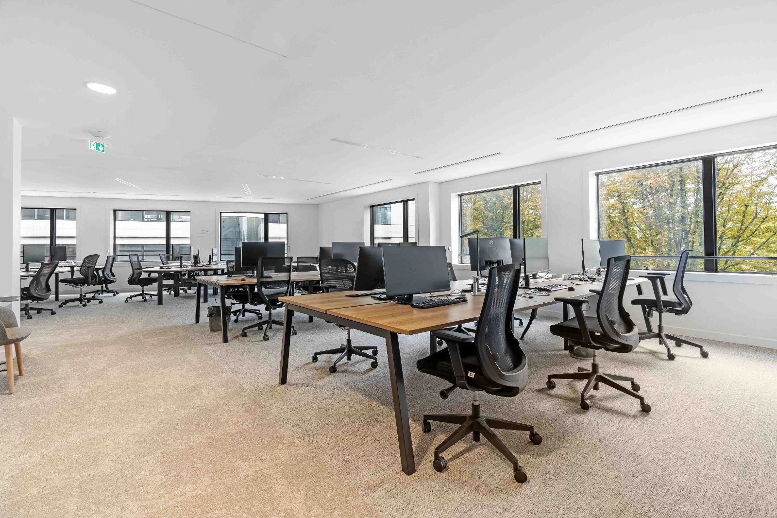Bureau opéré · 45 à 52 postes · rue Anatole, Levallois-Perret — photo 4/14