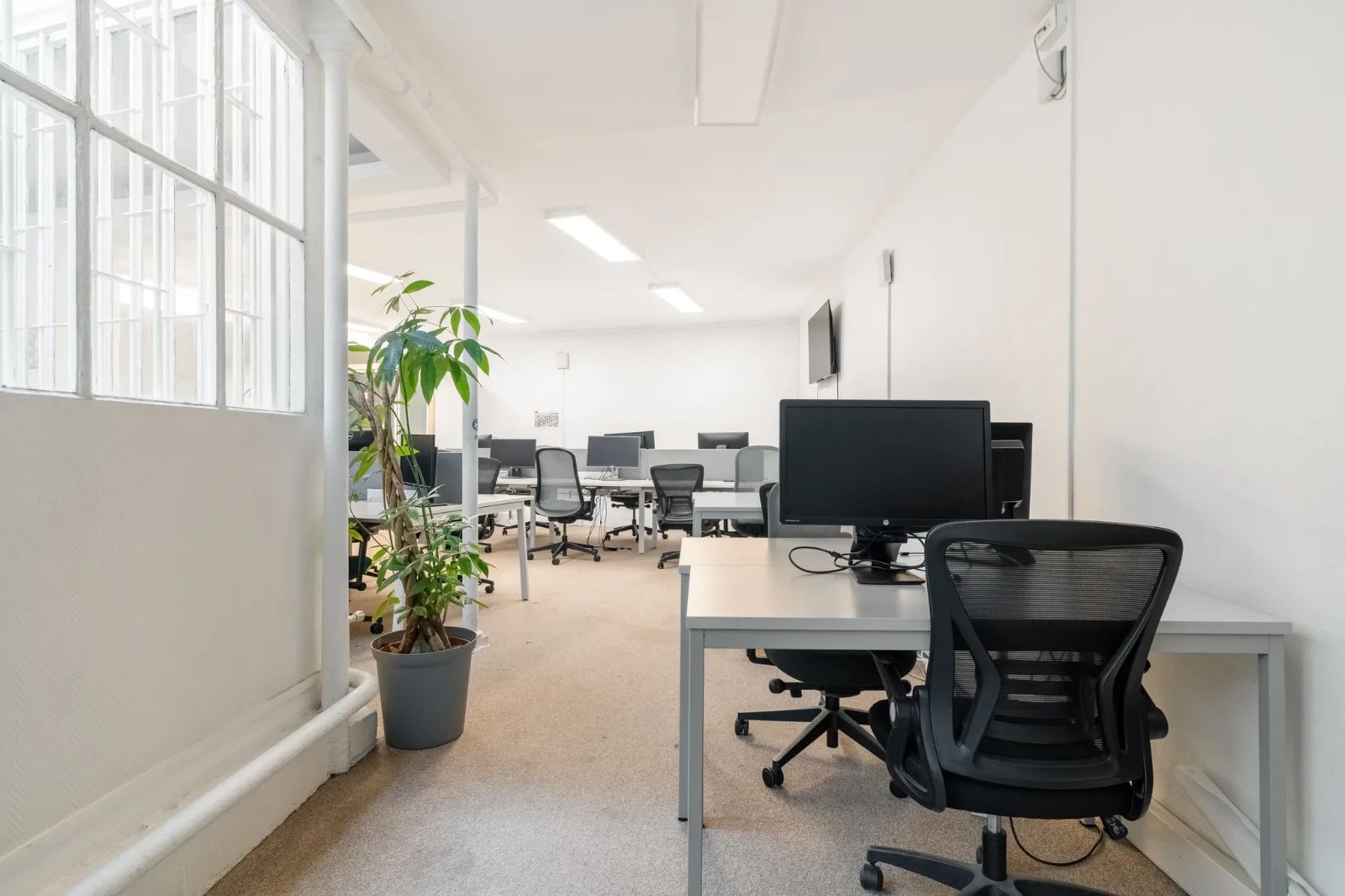 Bureau opéré · 1 à 14 postes · rue Saint-Fiacre, Paris 2e — photo 2/19