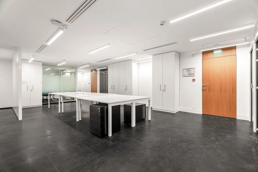 Bureau opéré · 12 à 18 postes · avenue Hoche, Paris 8e — photo 5/25