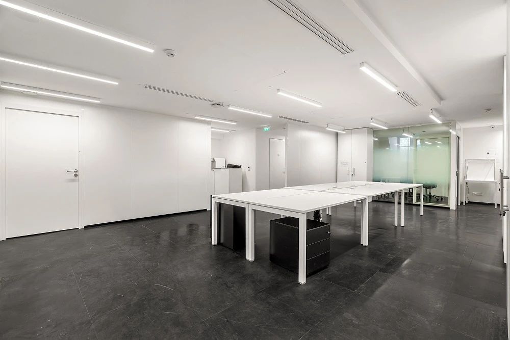 Bureau opéré · 12 à 18 postes · avenue Hoche, Paris 8e — photo 7/25