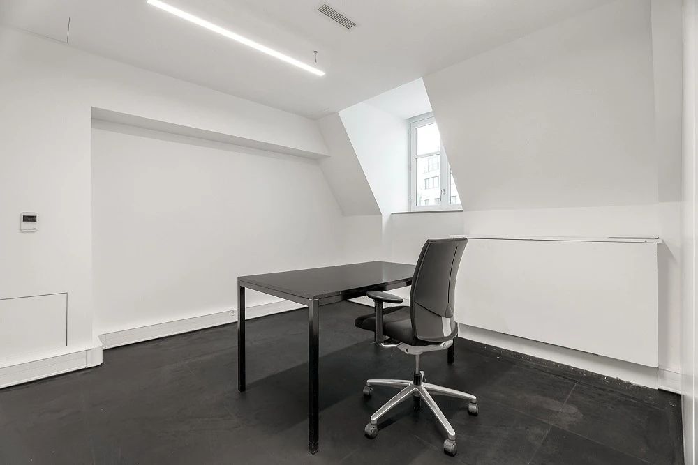 Bureau opéré · 12 à 18 postes · avenue Hoche, Paris 8e — photo 12/25
