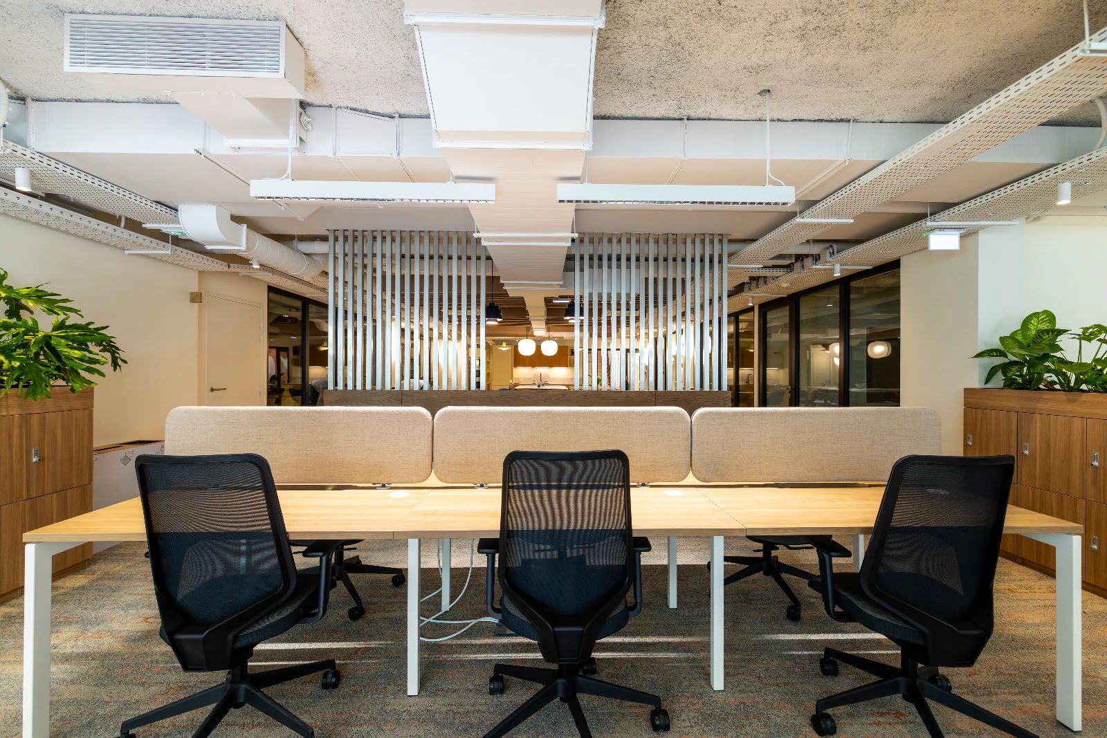 Bureau opéré · 76 à 100 postes · rue de Berri, Paris 8e — photo 8/11